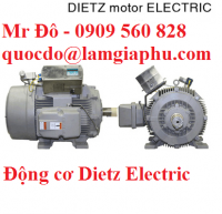 Động cơ Dietz Electric